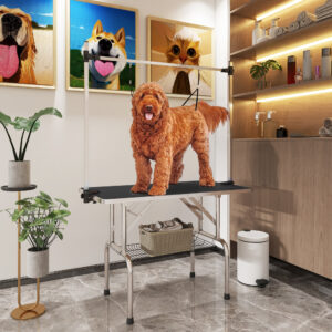 Trillebord, Højdejusterbart, Sammenklappeligt med Nederste Kurv til Hunde, 107 x 60 x 170 cm, Sort