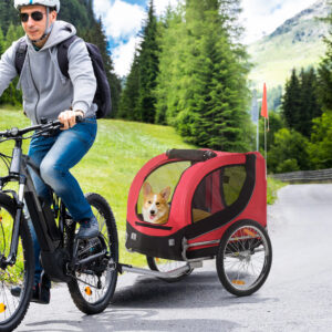 Hundetrailer Cykeltrailer Hundetransporter Hundecykeltrailer Rød+Sort 130 x 73 x 90 cm