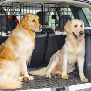 Hundegitter, Universal Bagagerumsbeskyttelse, Justerbar 93-150 cm, Lavet af Stål, Sort, Hundegitter