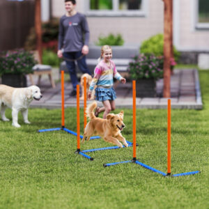 Agilitysæt til hunde, 3-delt agilityudstyr med slalomstave, bæretaske, træningssæt til alle hundestørrelser, orange