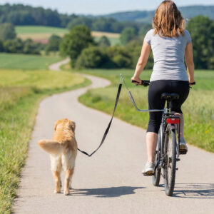 Hundesnor til cykel med støddæmpere, justerbar rem, aftagelig hurtigspænde til træning og jogging, sølv og sort.