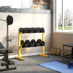 Håndvægtstativ, 2-lags håndvægtstativ, lasteevne op til 270 kg, stabil vægtholder til styrketræning og fitness