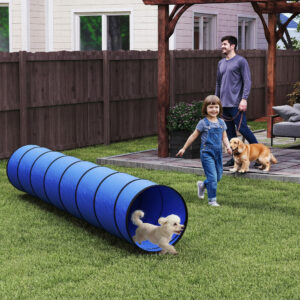 Agilitytunnel til hunde 300 x 50 cm. Hundetunnel med 4 jordankre. Bæretaske. Legetunnel til små og mellemstore hunde. Blå.